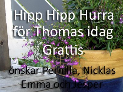 [grattis_thomas.jpg]