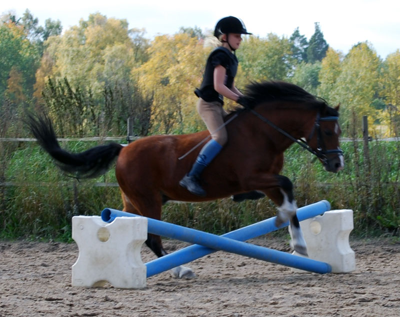 [DSC_3743_xx.jpg]