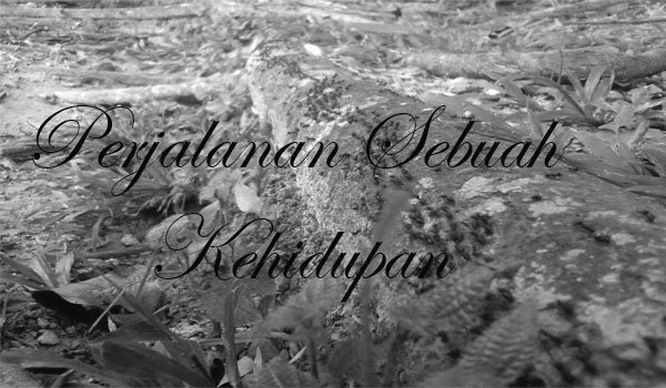 wulan blog
