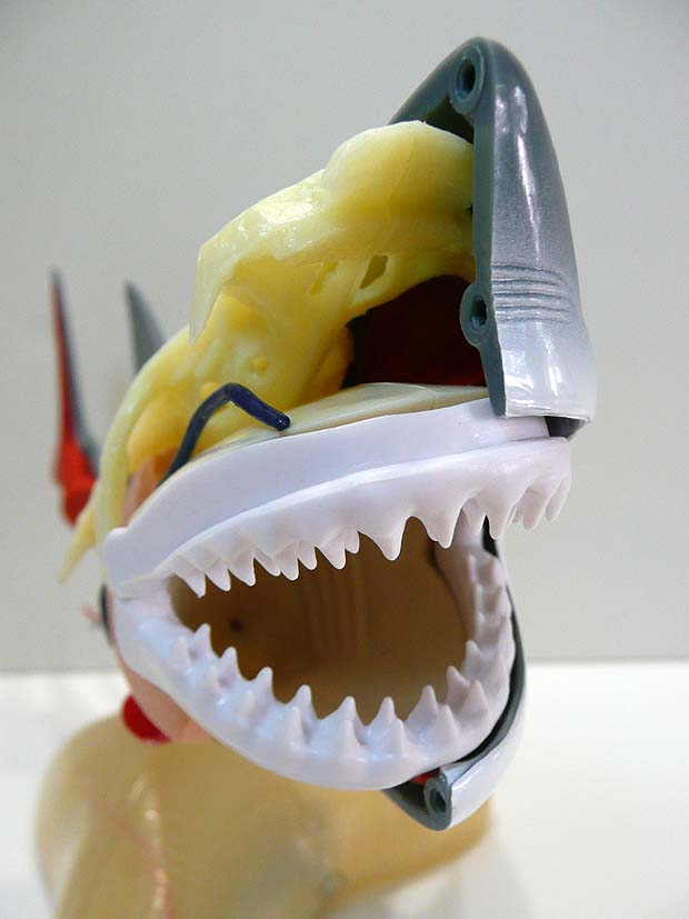 [jaws+teeth.jpg]
