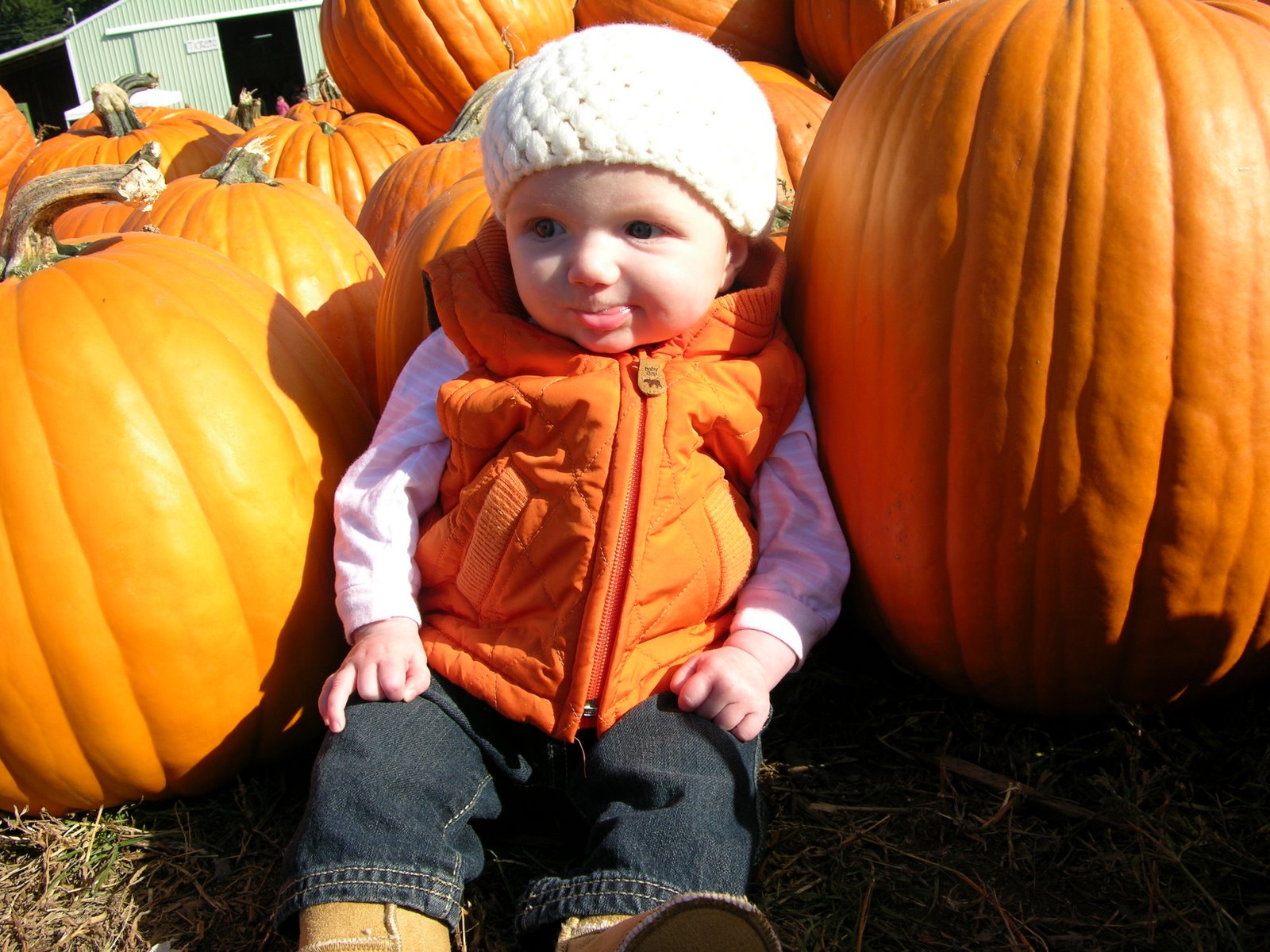 [syd+pumpkin+best.jpg]