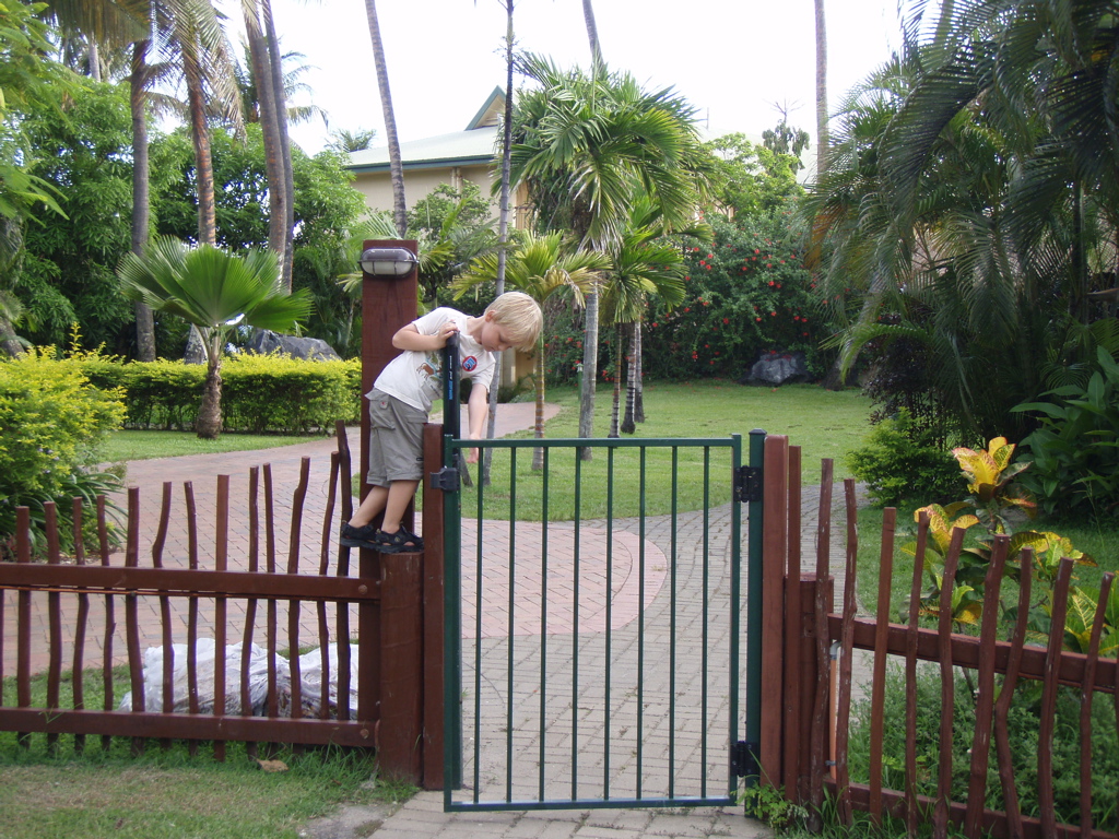 [P1130197.jpg]