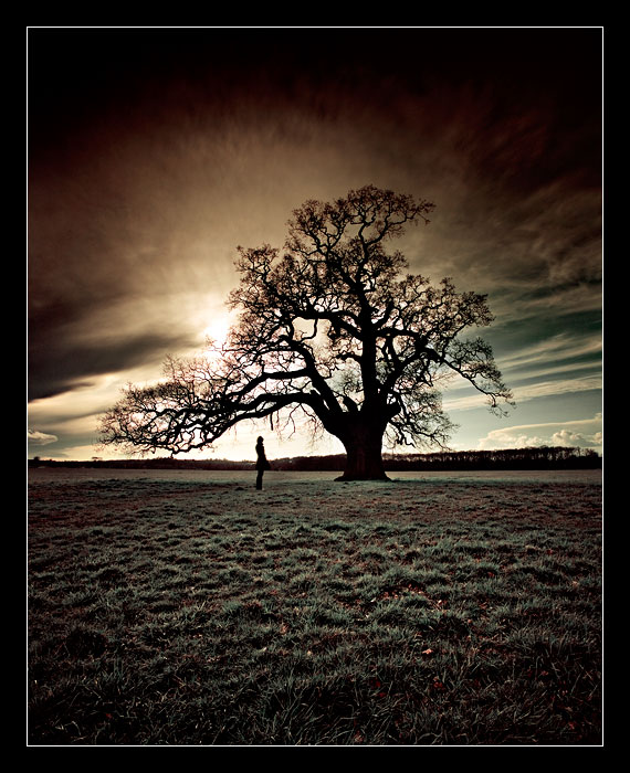 [f50cc21f77a72a9a8724fa780c2e17e4.jpg]