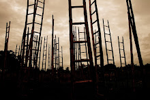 Virgil's Forest, installation in India