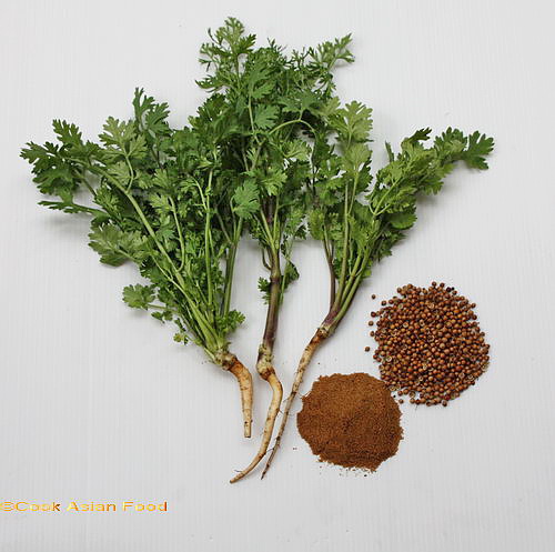 Cilantro Vs Coriander