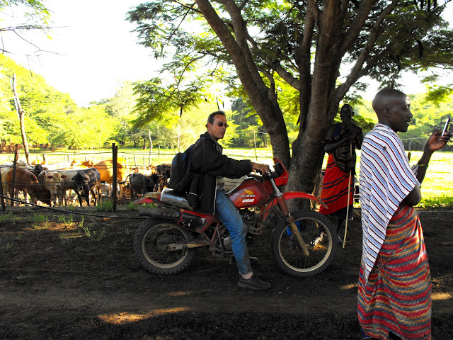 11 Decembre - Le maitre des lieux