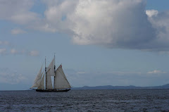 A Pacific Tall Ship - Grace or Swift