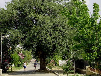 KINALIADA2B 2BC4B0STANBUL01