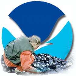 Natural Resource Damage Assessment Regulations Natural Resource Damage Assessment Regulations