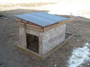 Why+are+doggies+nuts+seeds+so+expensive