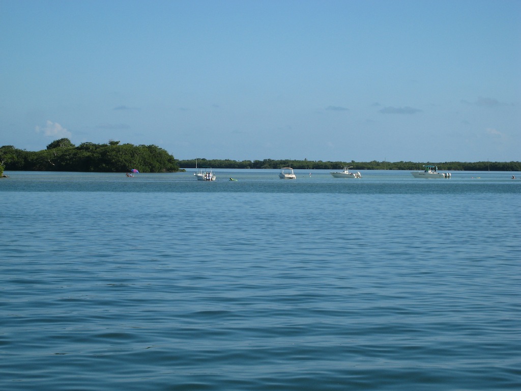 [IMG_3629.JPG]
