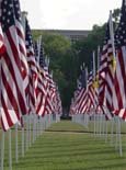 Flags Are Flying