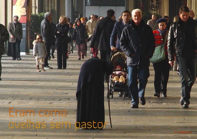[xvi_tc_b_small.jpg]