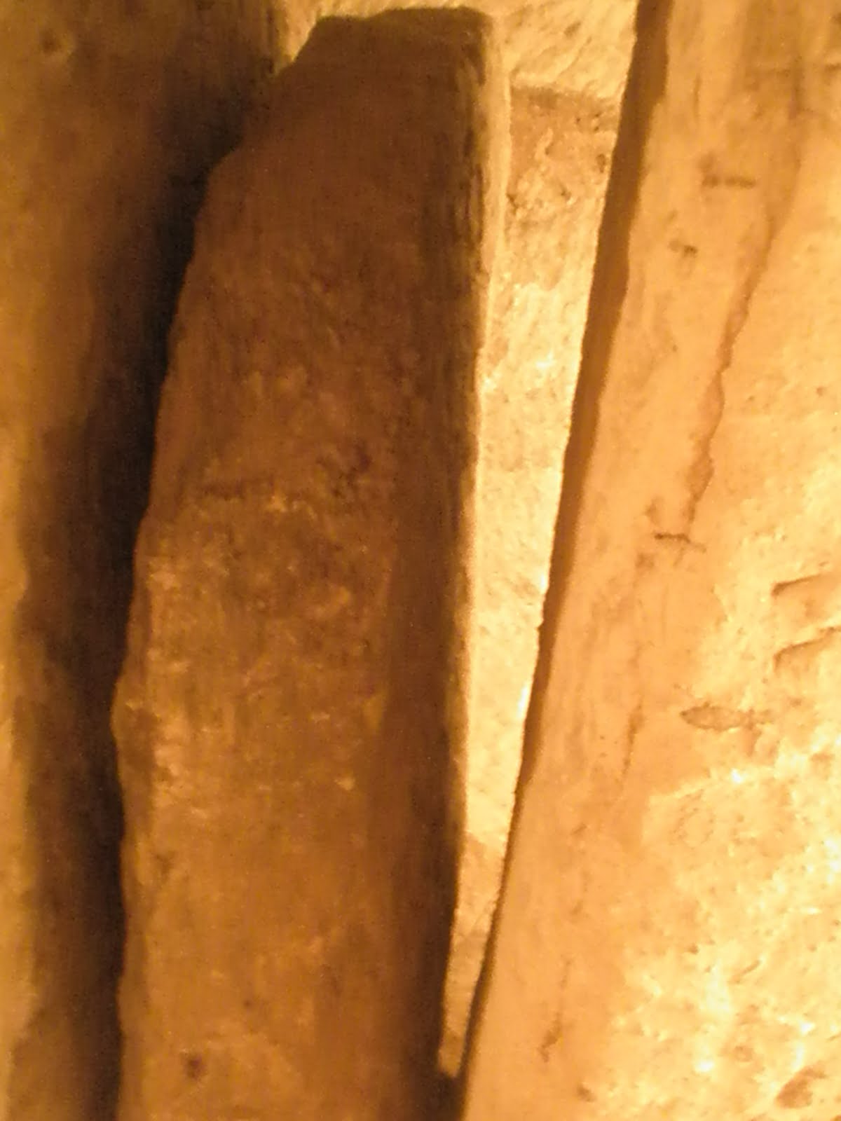 [P7230439.JPG]