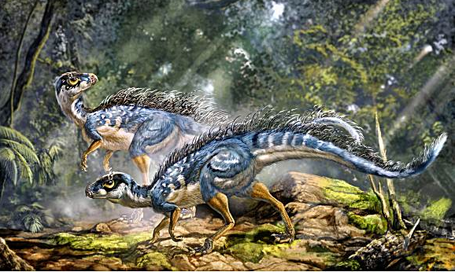 [feathered+dinosaurs.jpeg]