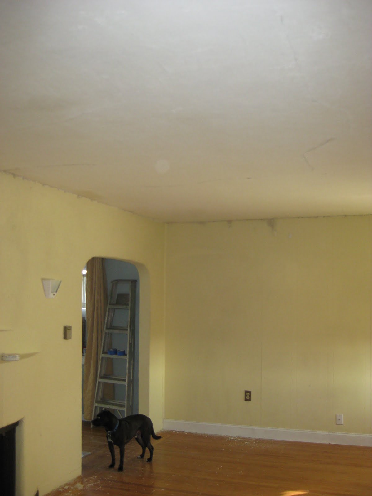 Home Depot Behr Paint Prices Insured By Laura