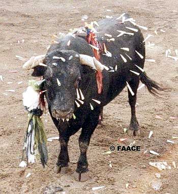 prohibicion corrida de toros