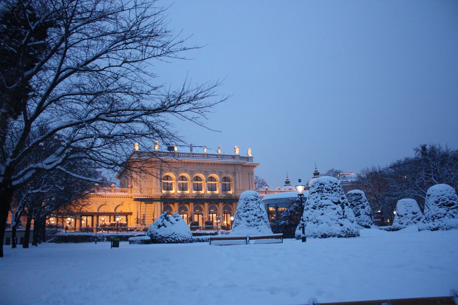 Vienna In Winter