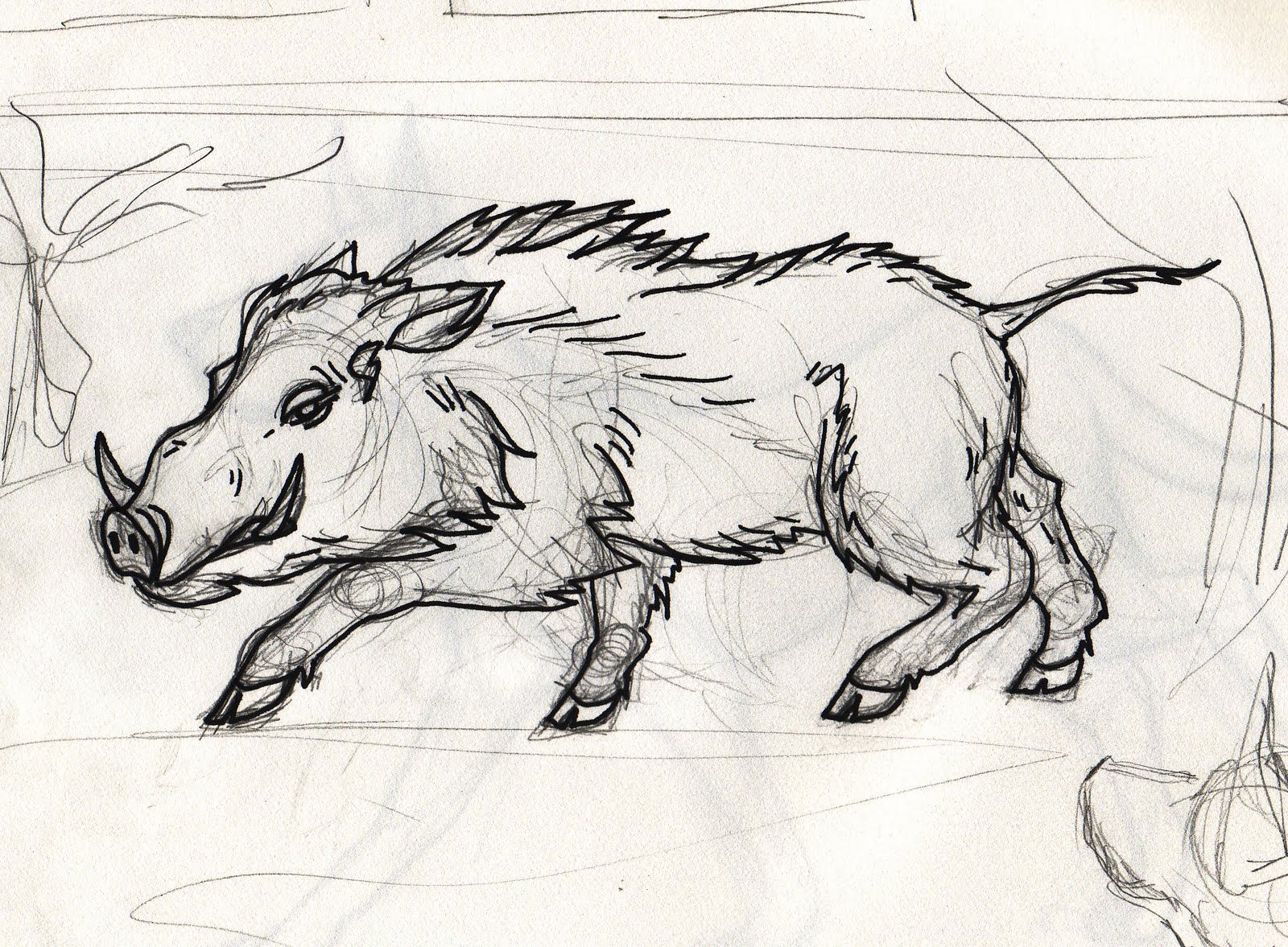 Wild Hog Sketches