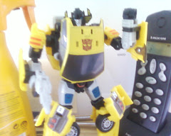 SUNSTREAKER NOT BUMBLEBEE