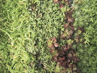 Health Herbs Harmony Nature Way Health Herbs Harmony Nature Way