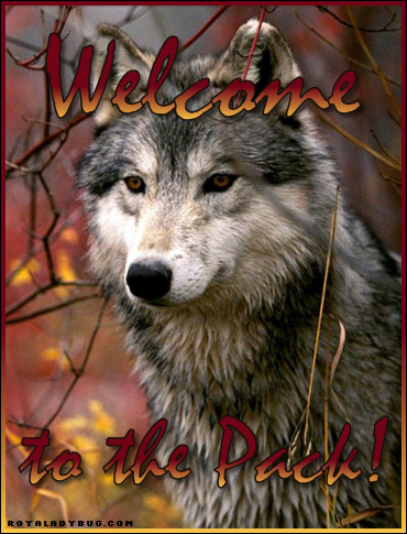 [WolfFront.png]