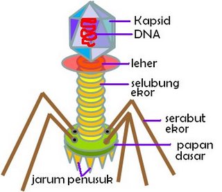 http://4.bp.blogspot.com/_1uZLjDy3JXA/TPG069pyngI/AAAAAAAAABk/8SNF_-kFUEU/s1600/1.jpeg