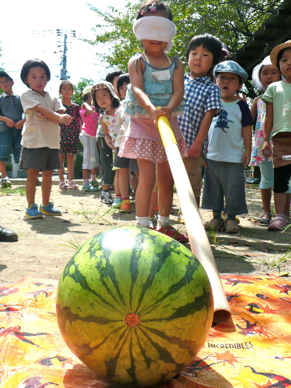 [P1030575.jpg]