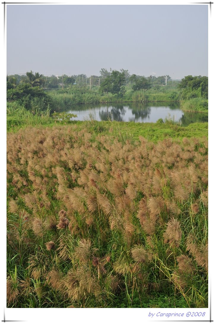 [nEO_IMG_DSC_0634.jpg]