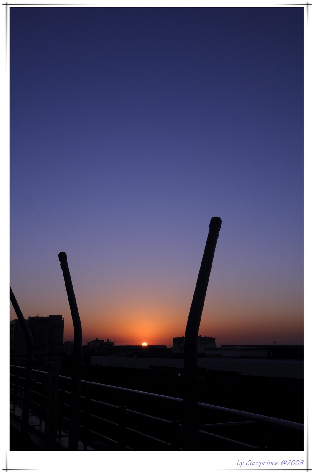 [nEO_IMG_DSC_3338.jpg]