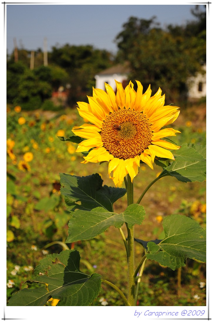 [nEO_IMG_DSC_4123.jpg]