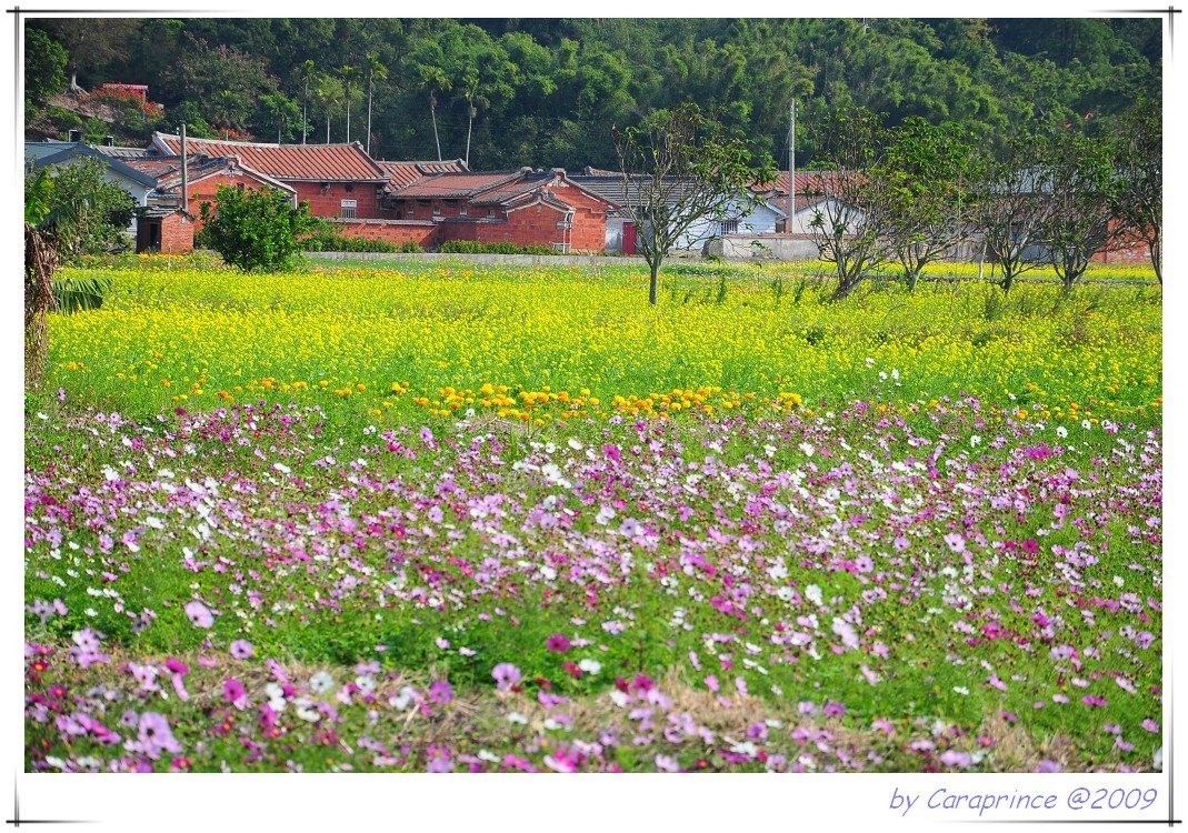 [nEO_IMG_DSC_4109.jpg]