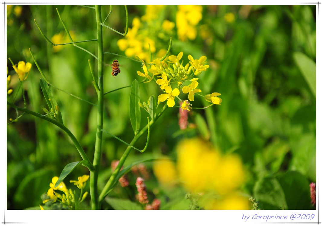 [nEO_IMG_DSC_4040.jpg]