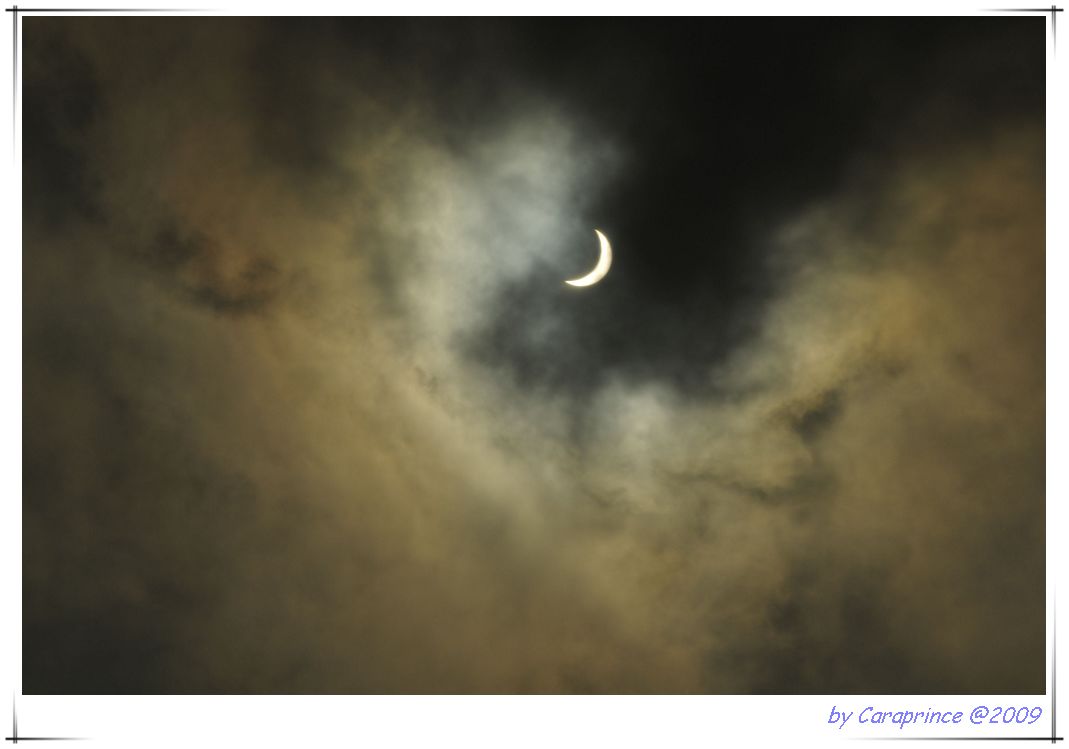 [nEO_IMG_DSC_8252.jpg]