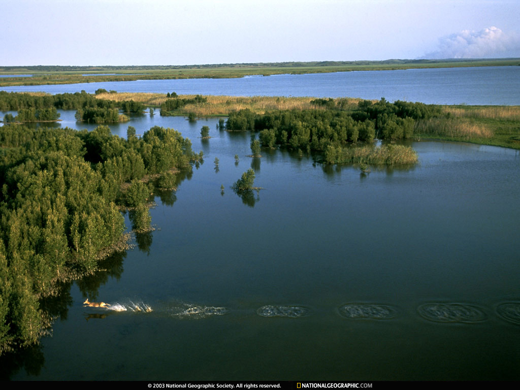 http://4.bp.blogspot.com/_1wg4KoX2MgE/Sw_PotNsM2I/AAAAAAAAAhg/J5KeocYcuH0/s1600/National_Geographic3.jpg