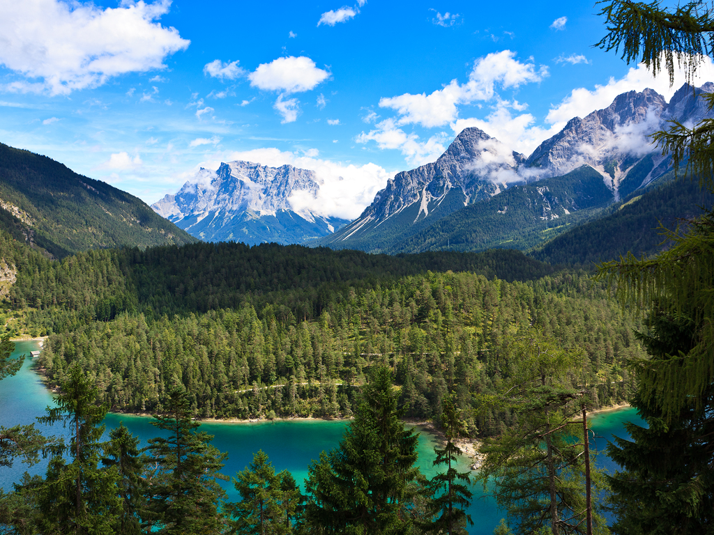 http://4.bp.blogspot.com/_1wg4KoX2MgE/TP1J4Ewp4DI/AAAAAAAAAwc/JWBKCz4qYok/s1600/treenature1024x768.jpg
