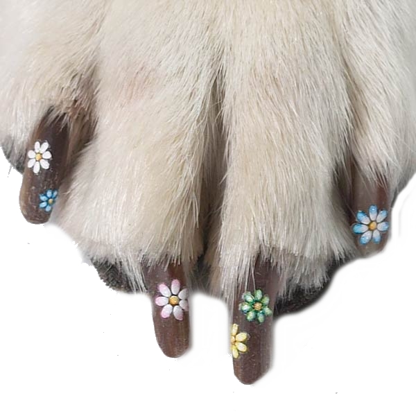 But someone thought appliqué nail stickers. would be a great addition to dog