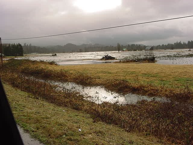[FLOOD+2009+CATHLAMET+4.JPG]