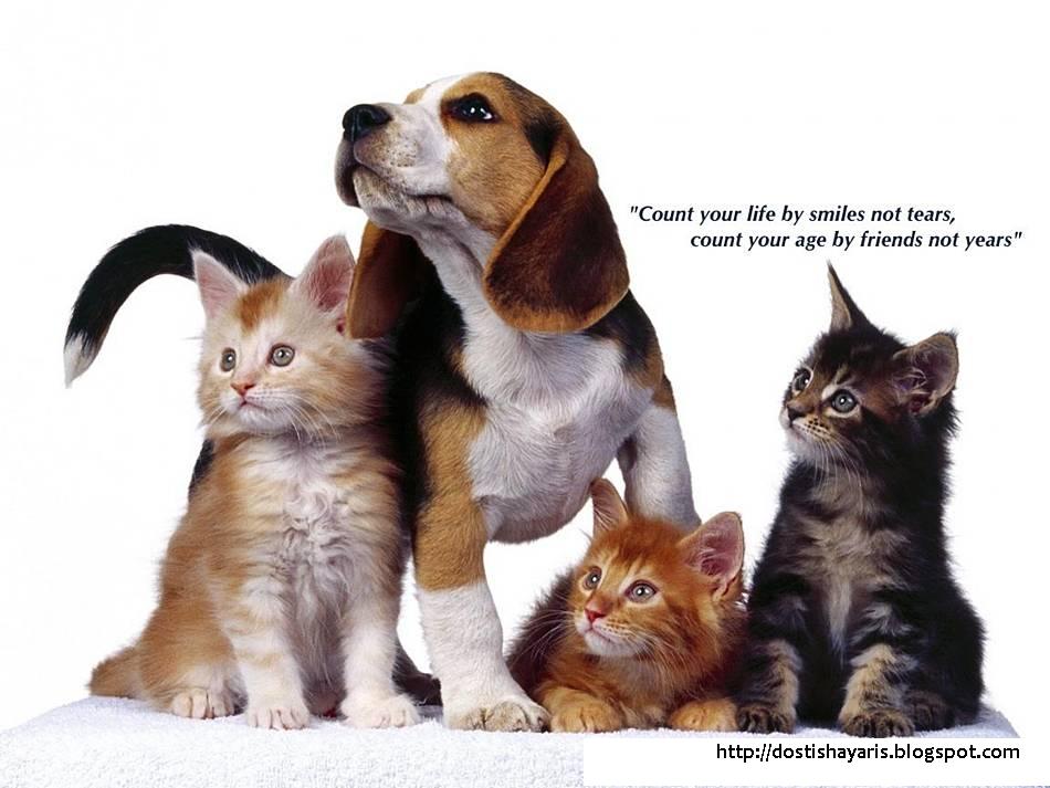 eautiful friendship quotes beautiful friendship quotes with pictures. eautiful friendship quotes