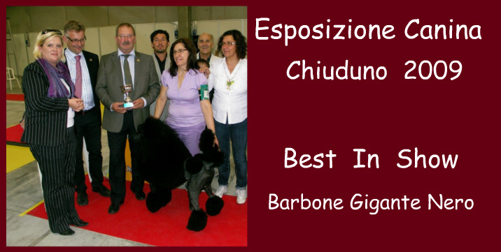[best+in+show+chiuduno+2009.jpg]