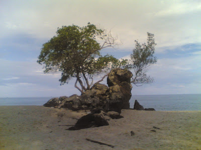 dabo singkep wisata alam pantai batu berdaun 2