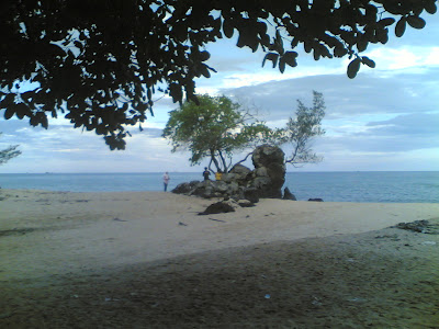 dabo singkep wisata alam pantai batu berdaun 6