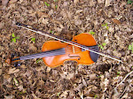 Le violon de Bastien