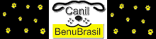 CANIL BENU BRASIL