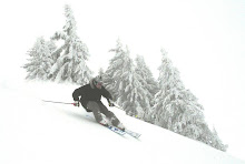 Marc Nyeland Skiing #1