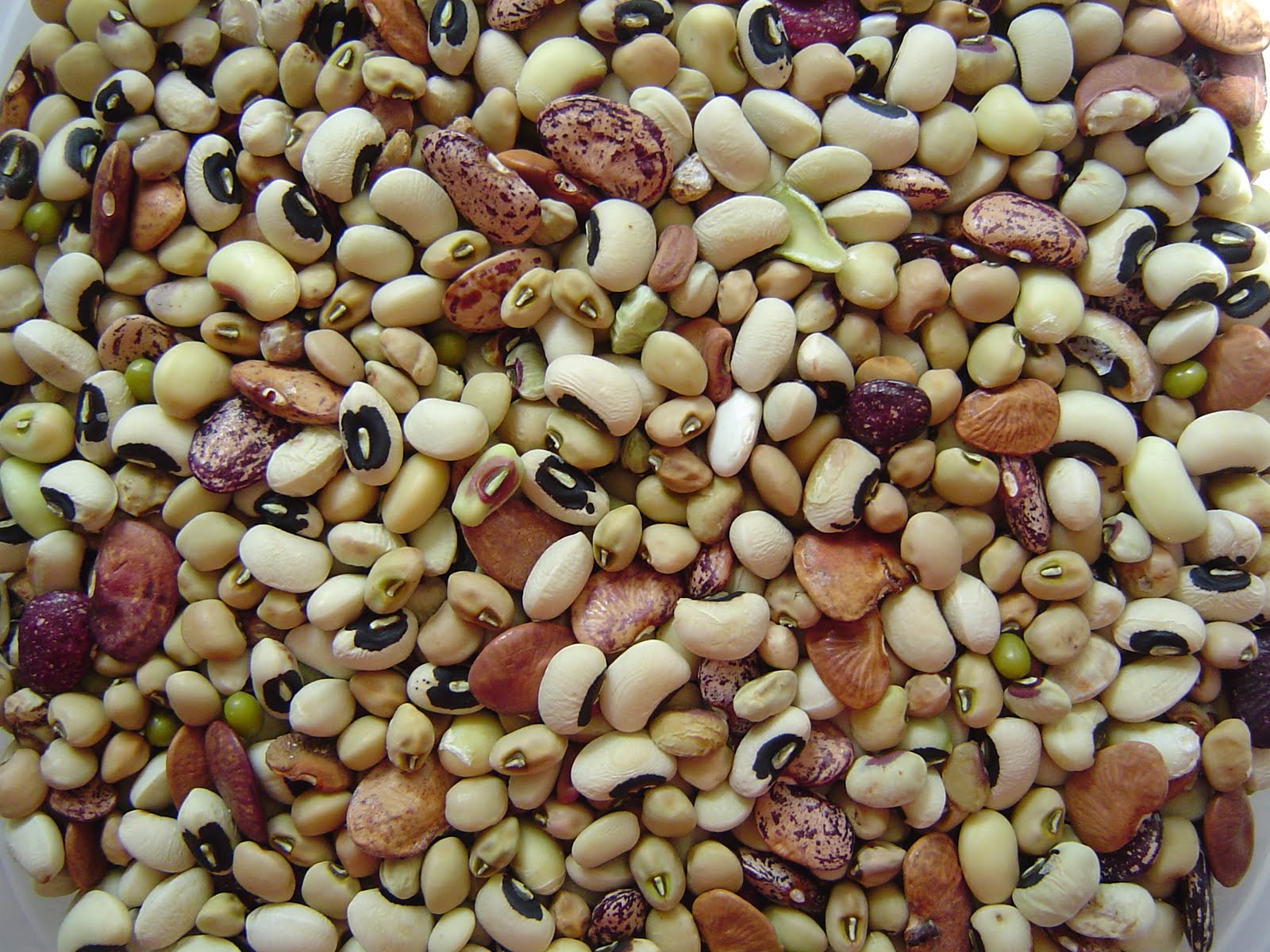 What a Healthy Family Eats Shucking Beans on a Friday Night