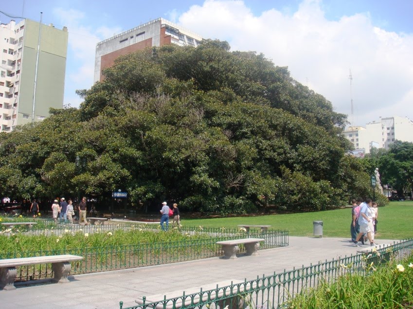 [plaza+francia.JPG]