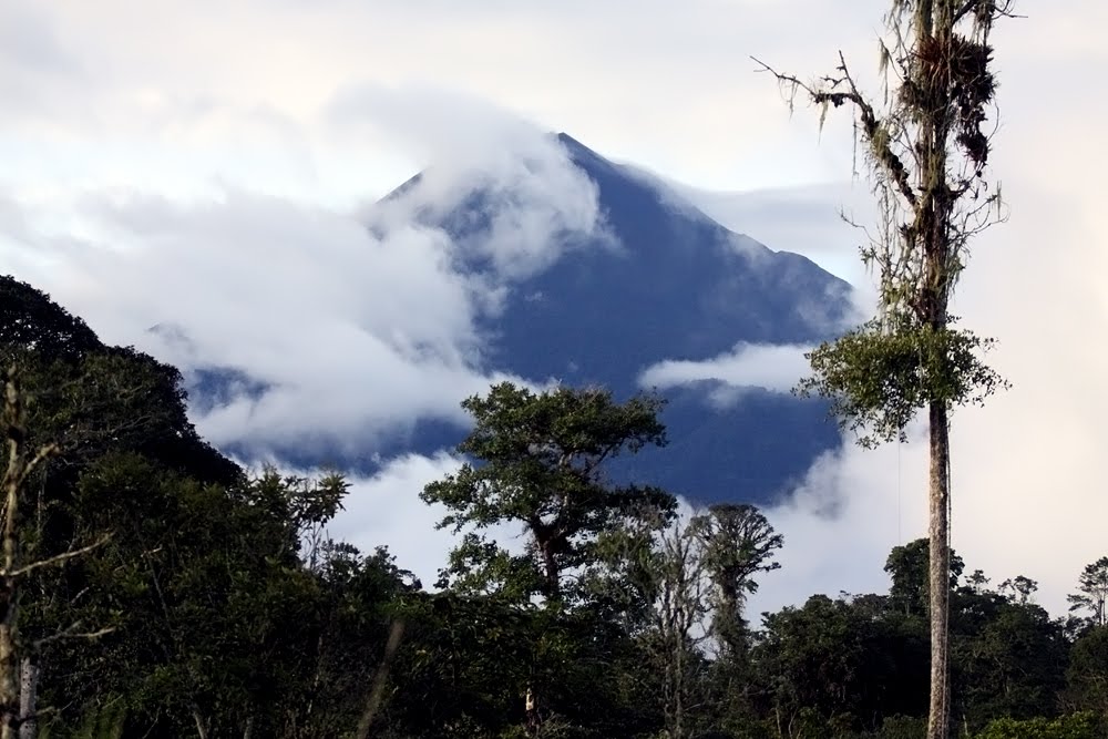 [Sumaco-24-Dec-09.jpg]