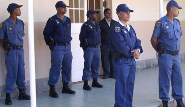 Saps Dog Unit
