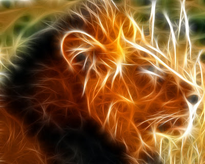 Cool 3D Lion Wallpaper and